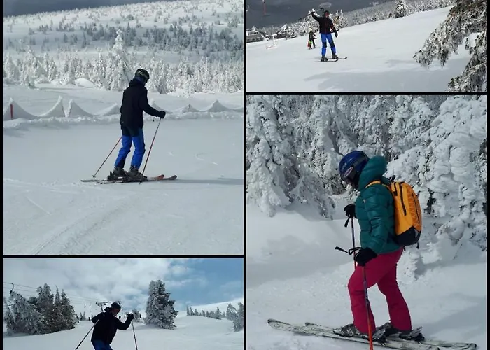 아파트 Loft 100m2 - Dwupoziomowy 옐레니아구라